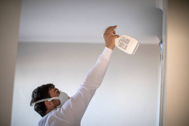 Best Mold Remediation  in Lockport, NY