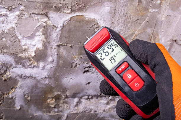 Best Local Mold Removal Service  in Lockport, NY